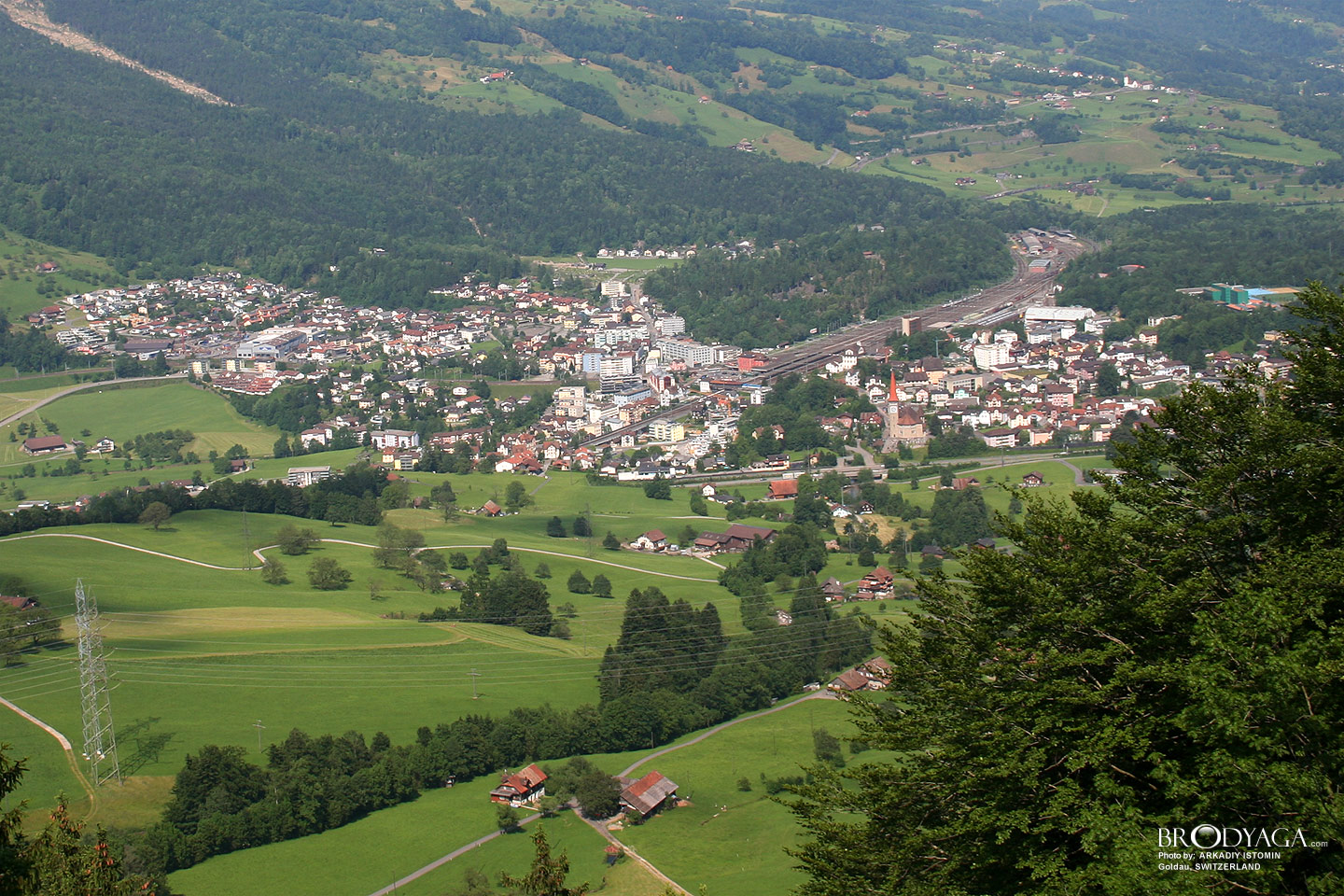 Goldau